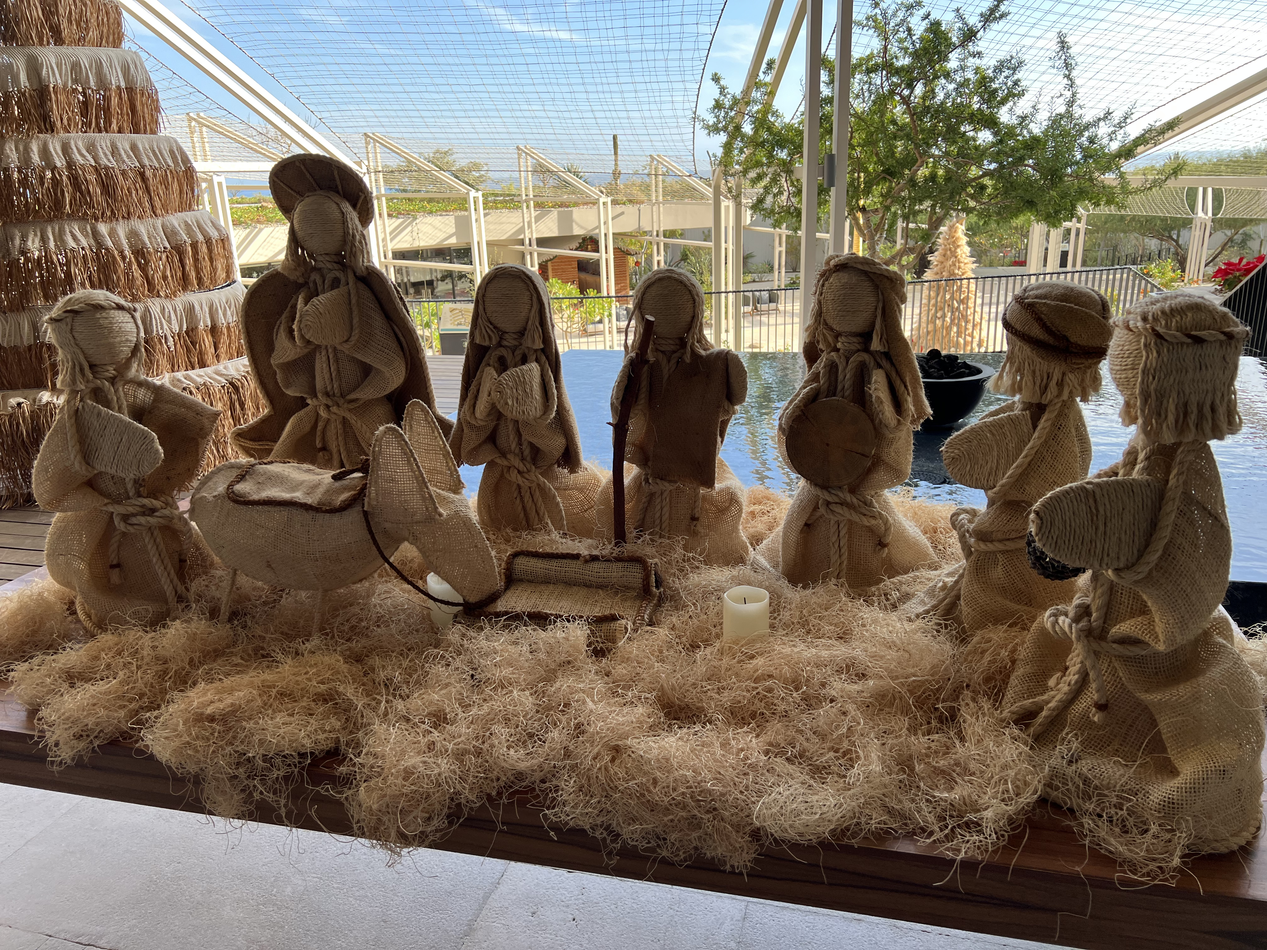 ./2024/13 - Cabo/IMG_4134.jpg